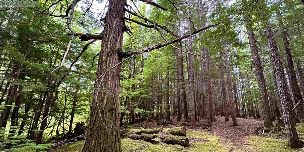 LOT C KALUM LAKE ROAD Terrace Photo 7 LOT C KALUM LAKE ROAD Terrace Photo 7